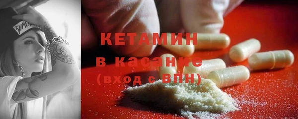 индика Бронницы