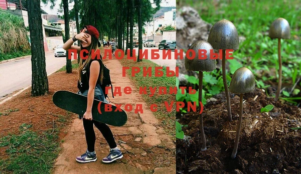 MDMA Бородино