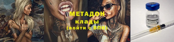 индика Бронницы