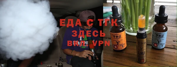 индика Бронницы