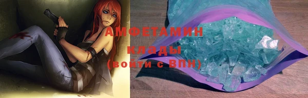 прущие грибы Видное