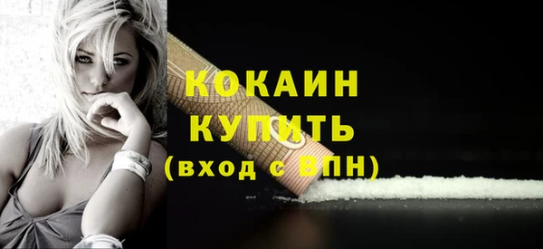 индика Бронницы