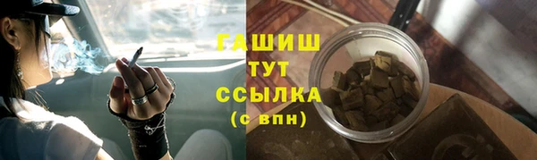 индика Бронницы