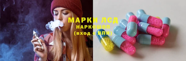 прущие грибы Видное
