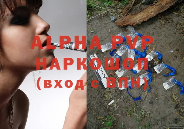 индика Бронницы