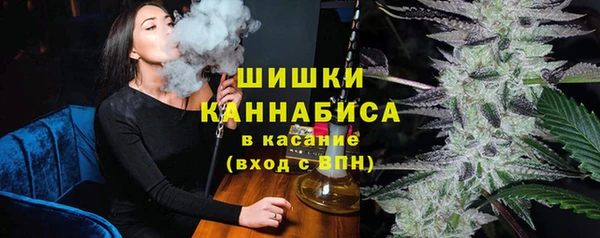прущие грибы Видное