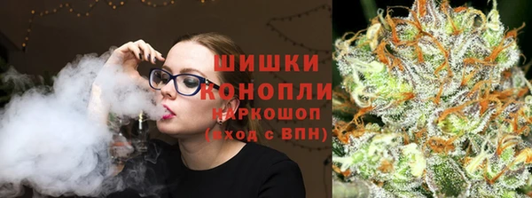 индика Бронницы