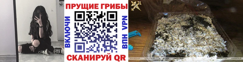 даркнет сайт  Дагестанские Огни  Галлюциногенные грибы мицелий 
